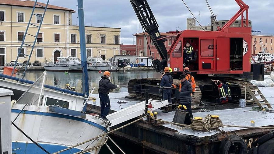 immagine di sfondo 8