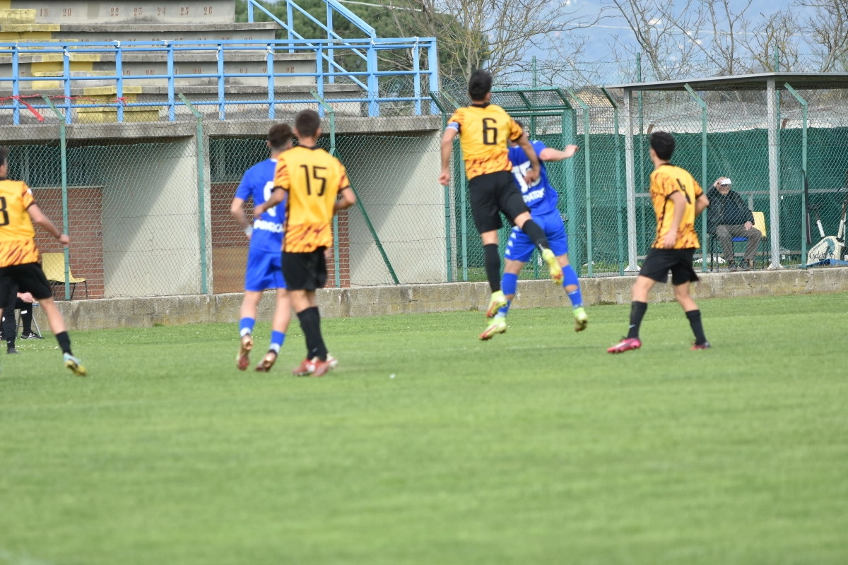 immagine di sfondo 6