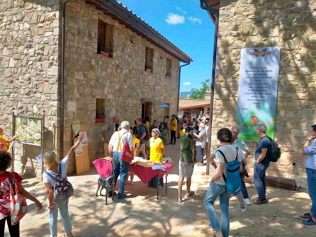 immagine di sfondo 9