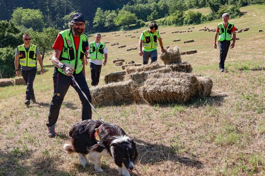 immagine di sfondo 14