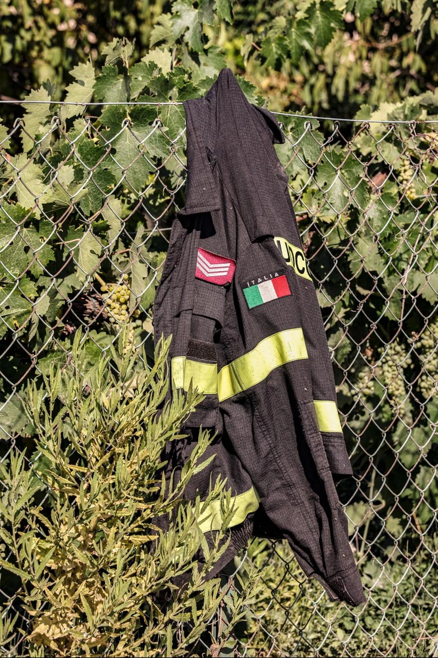 immagine di sfondo 43