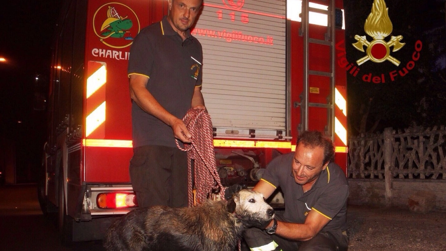 I vigili del fuoco col cagnolino salvato