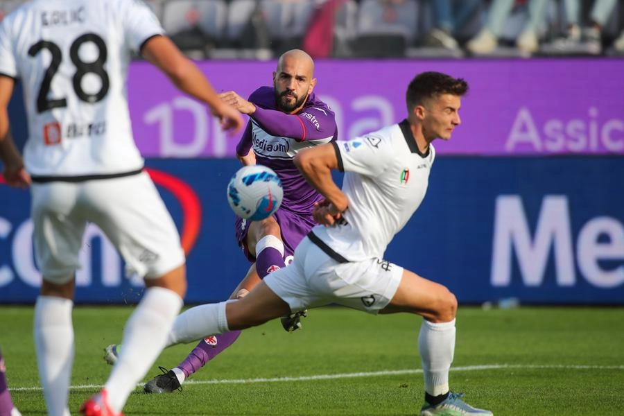 immagine di sfondo 7