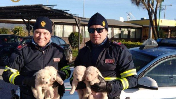 Gli agenti con i cuccioli salvati
