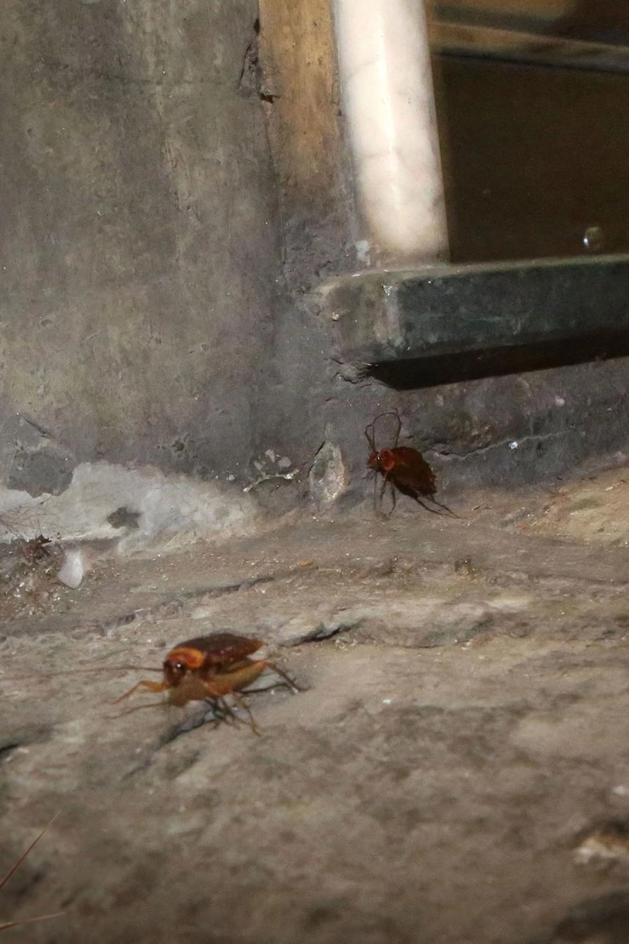 immagine di sfondo 9