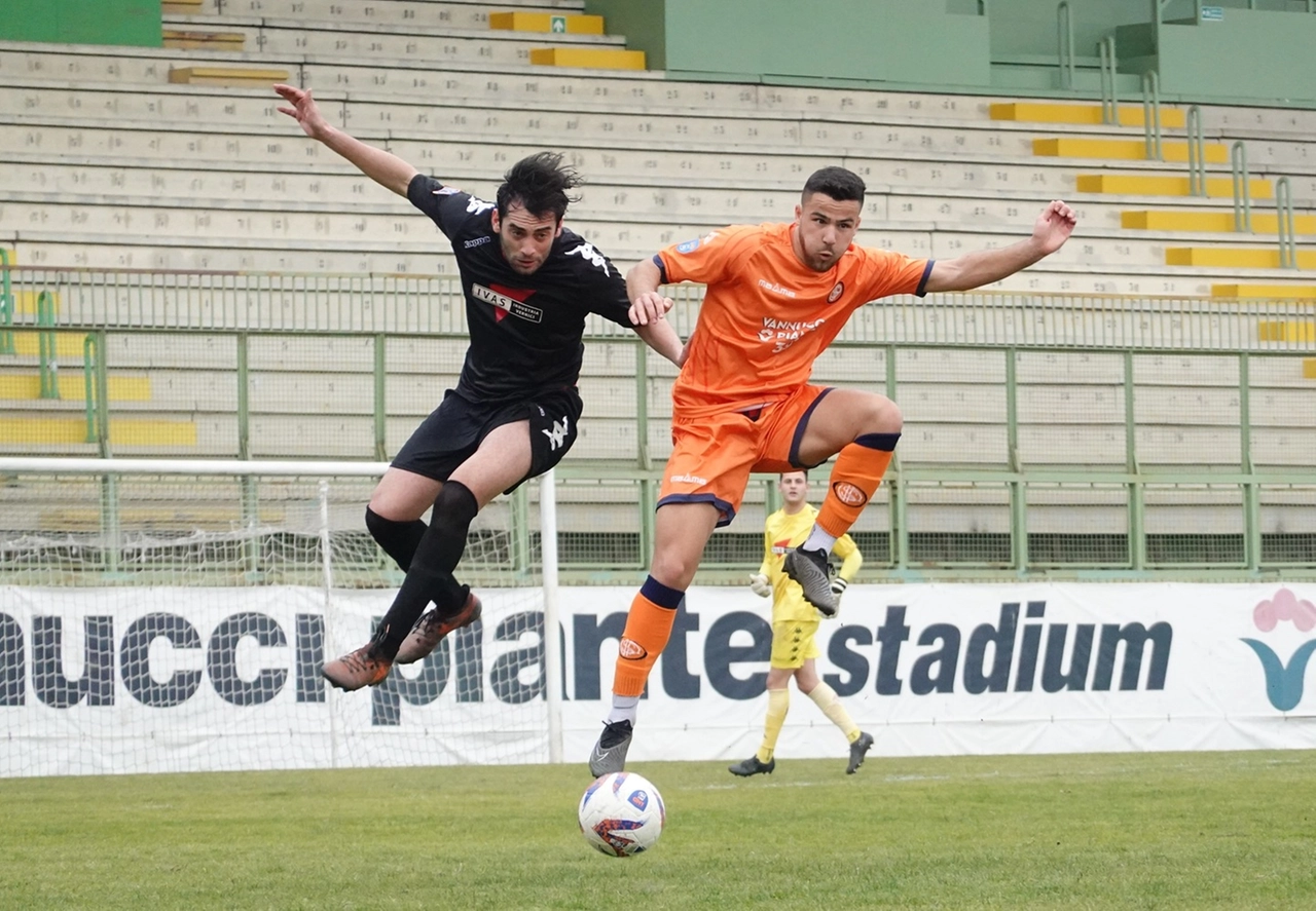 immagine di sfondo 14