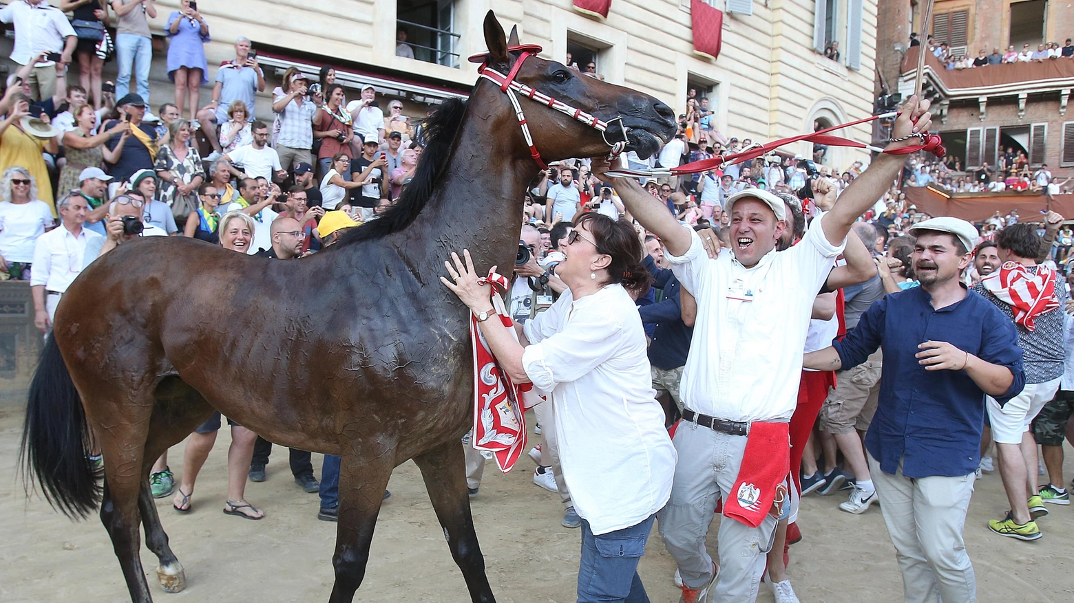 Tale e quale, solo tre punti  "Il cavallo a Mociano il 9"