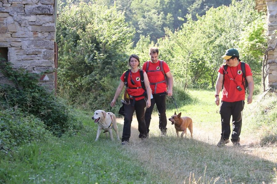 immagine di sfondo 9