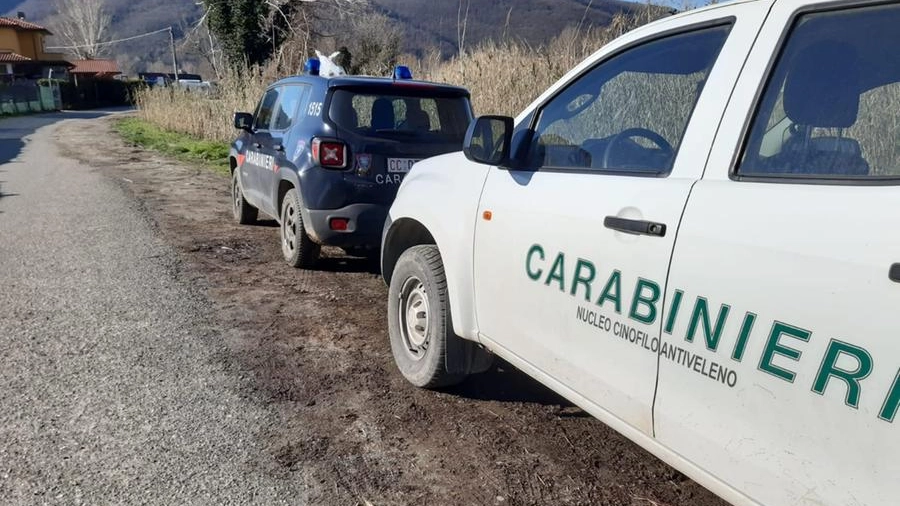 Carabinieri forestali a Ponzano Magra