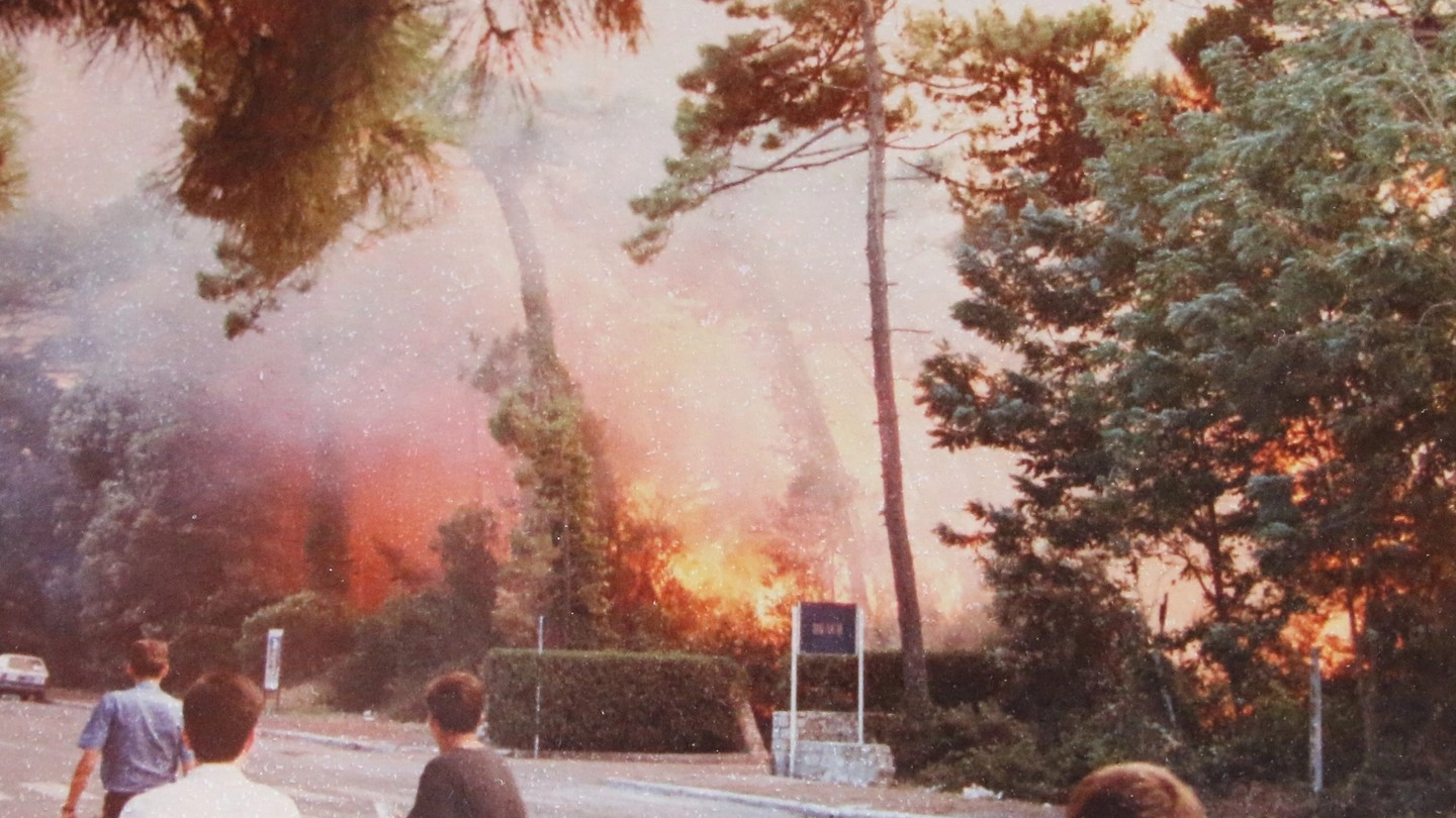 ll devastante incendio nella pineta di Tirrenia nel 1989