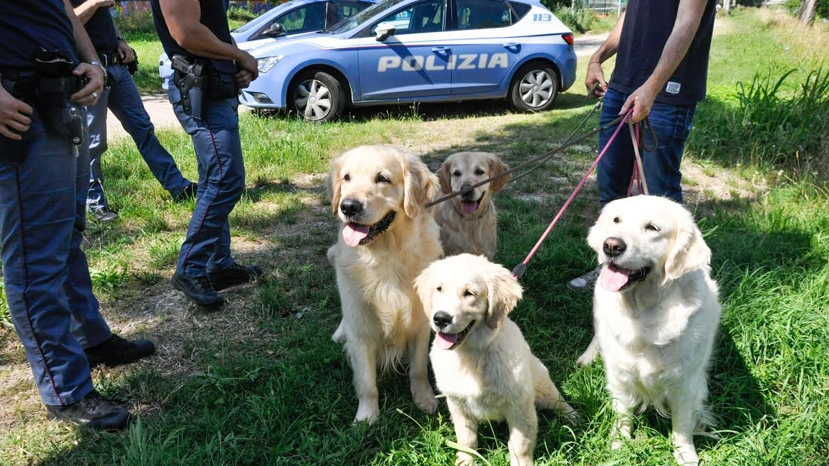 Rischia di annegare nell'Arno, i poliziotti salvano la donna e i suoi cani
