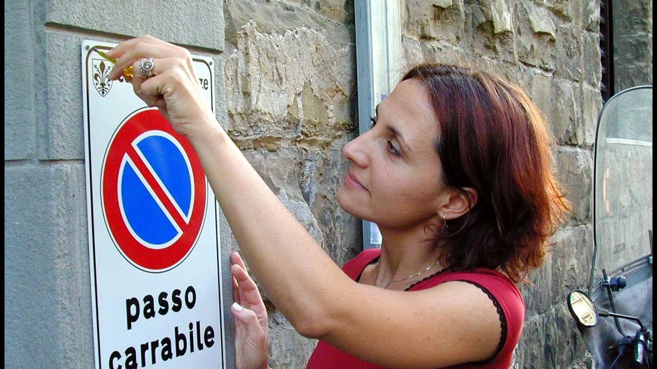 Passo carrabile digitale Disco verde della giunta Passo carrabile digitale Disco verde della giunta