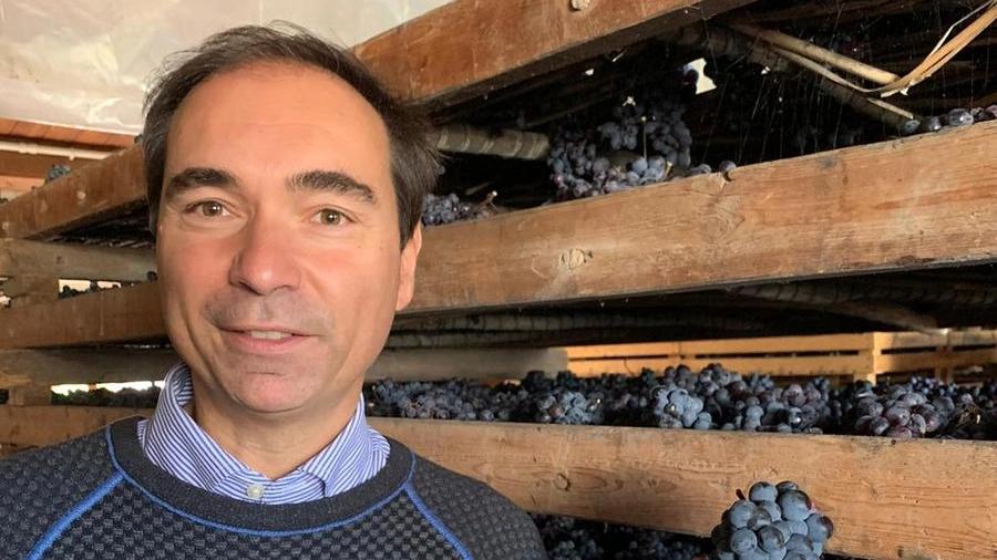 L'analista delle aziende vitivinicole Leonardo Comucci