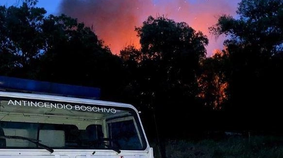 A fuoco "Il Giardino di poppa" nella pineta L’allarme dato in diretta dai volontari dell’Aib A fuoco "Il Giardino di poppa" nella pineta L’allarme dato in diretta dai volontari dell’Aib
