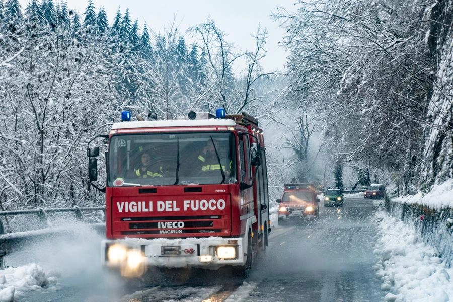 immagine di sfondo 1