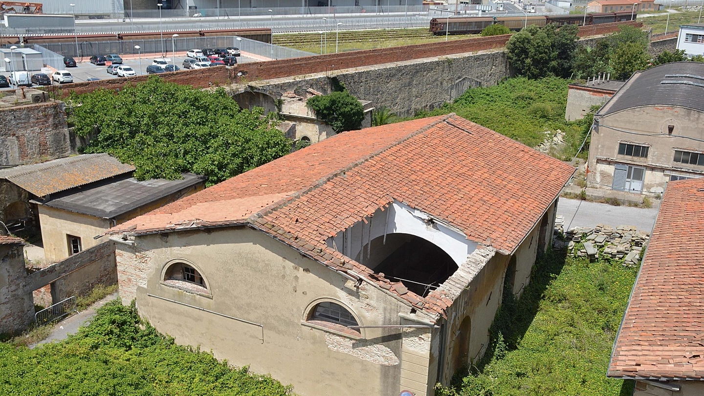 La voragine apertasi su parte del tetto degli ex macelli comunali (Foto Lanari)