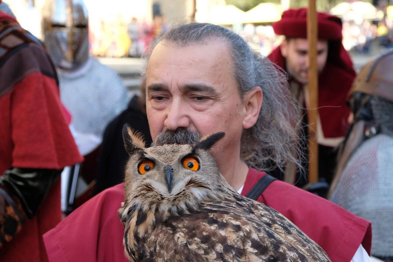 immagine di sfondo 49