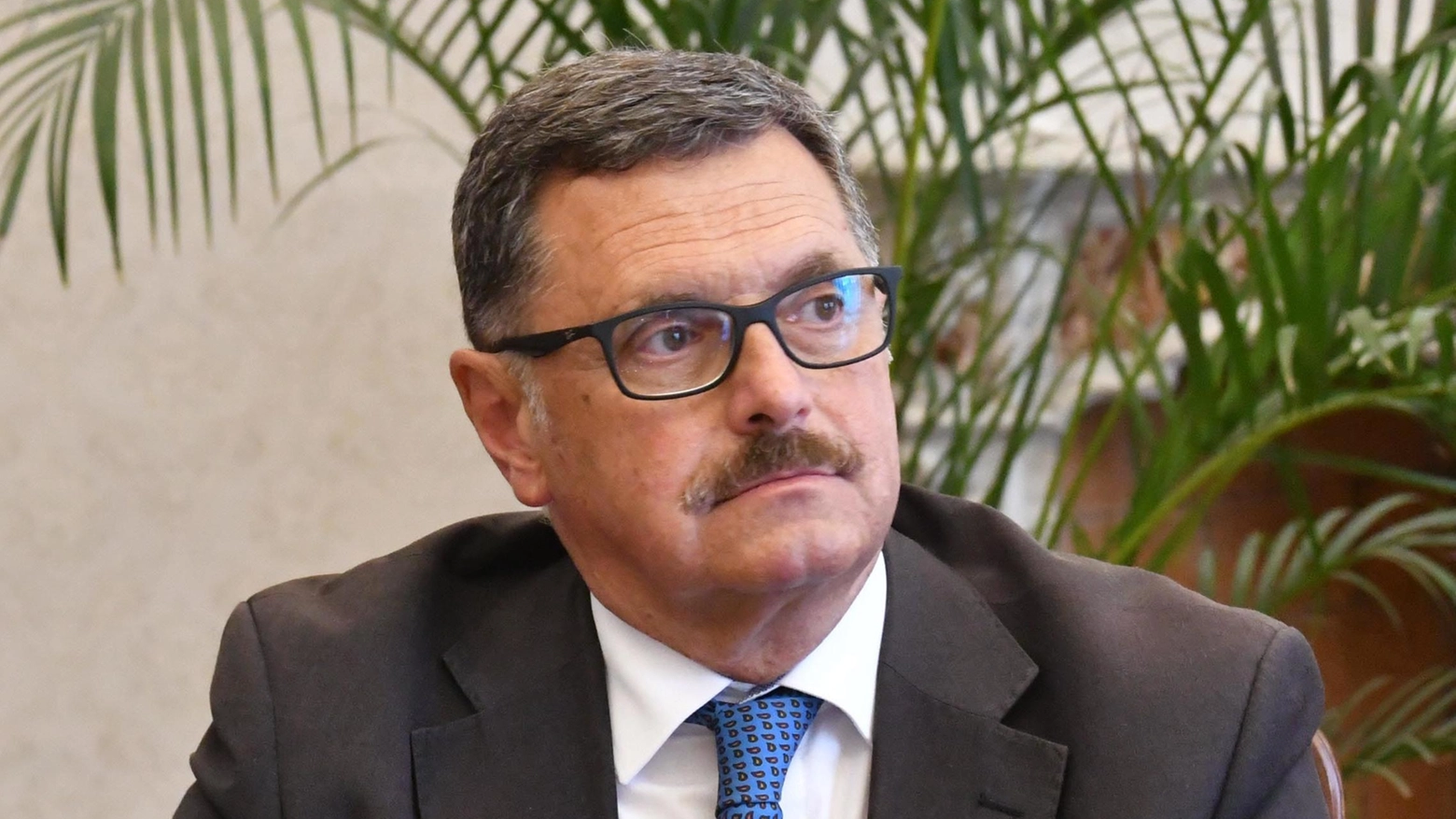 Cavallo ai saluti finali "Sono stato accolto meravigliosamente Ora farò volontariato" Cavallo ai saluti finali "Sono stato accolto meravigliosamente Ora farò volontariato"