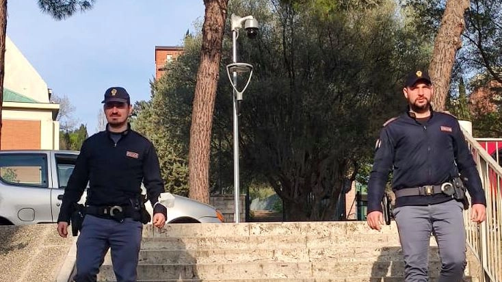Spara al gatto nel giardino I vicini chiamano la polizia Spara al gatto nel giardino I vicini chiamano la polizia