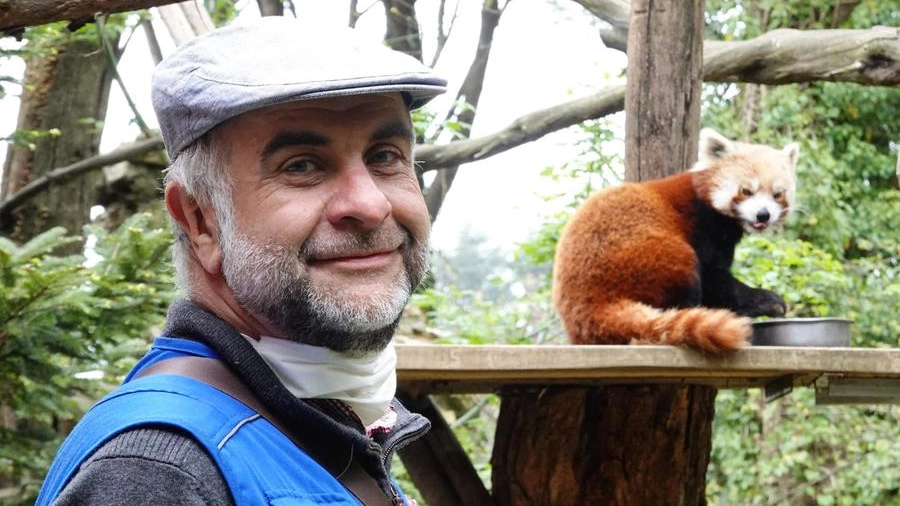 Il direttore del Giardino zoologico di Pistoia, Paolo Cavicchio (FotoCastellani)