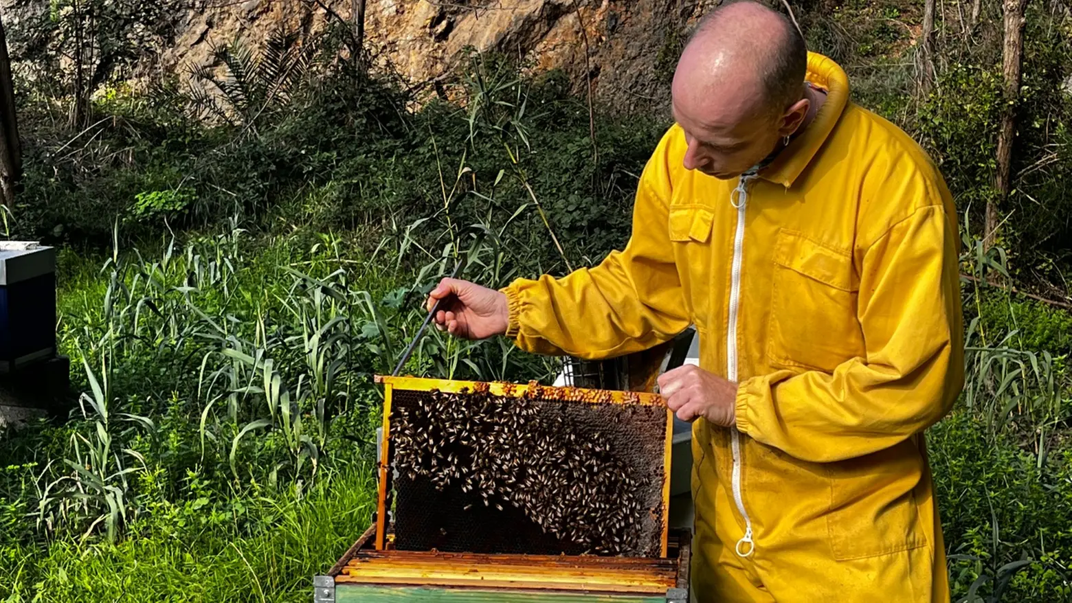 Un apicoltore toscano