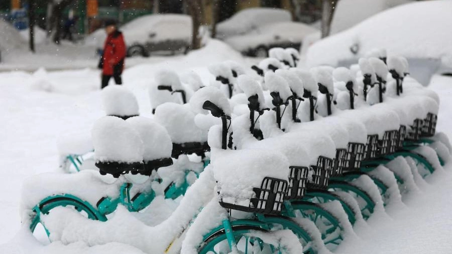 Biciclette coperte dalla neve (Ansa)