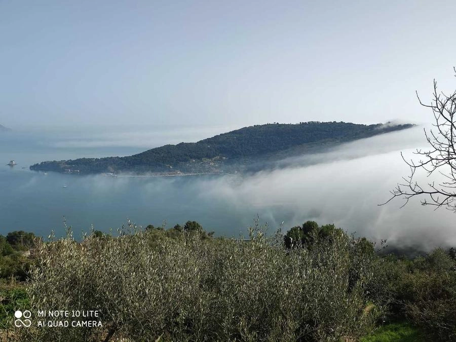 immagine di sfondo 4