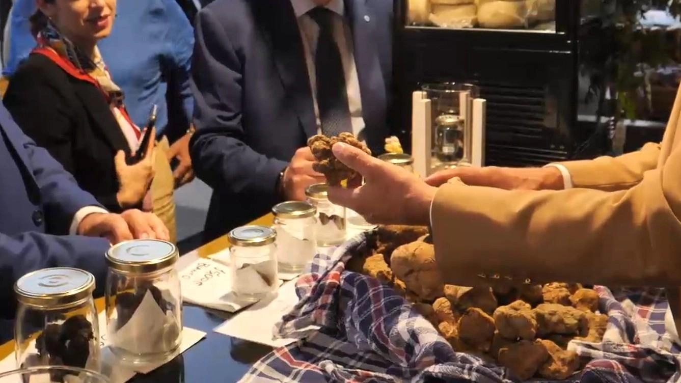 Tartufo bianco & patata. Pietralunga, festa di sapori