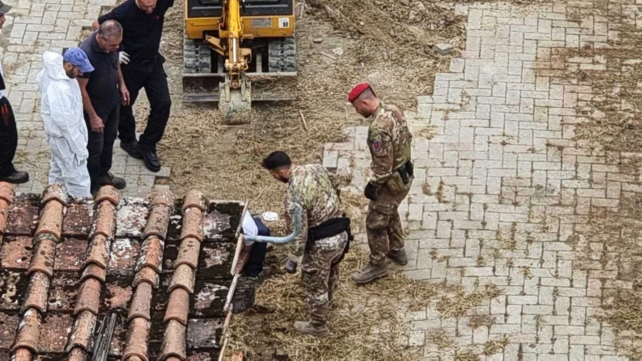 immagine di sfondo 1