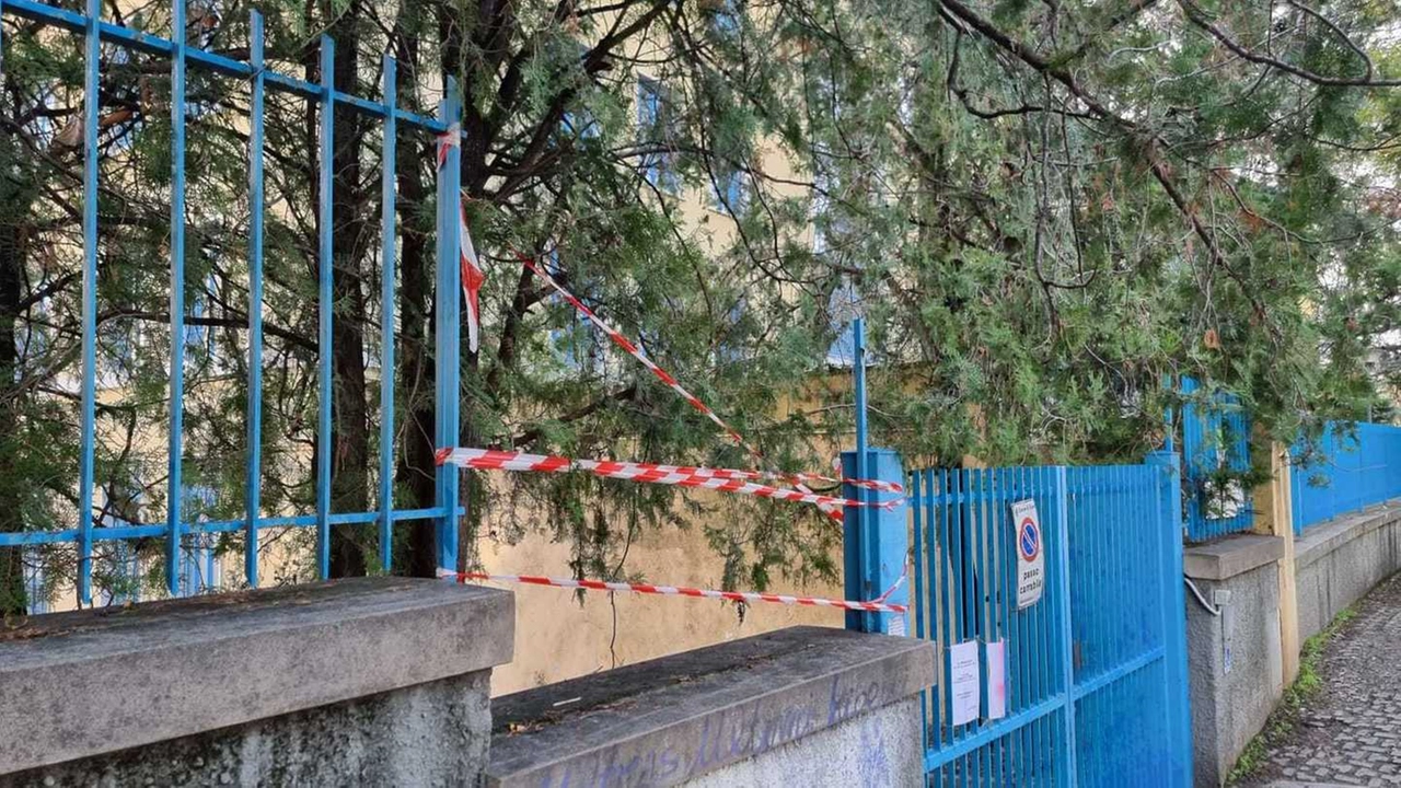 immagine di sfondo 1