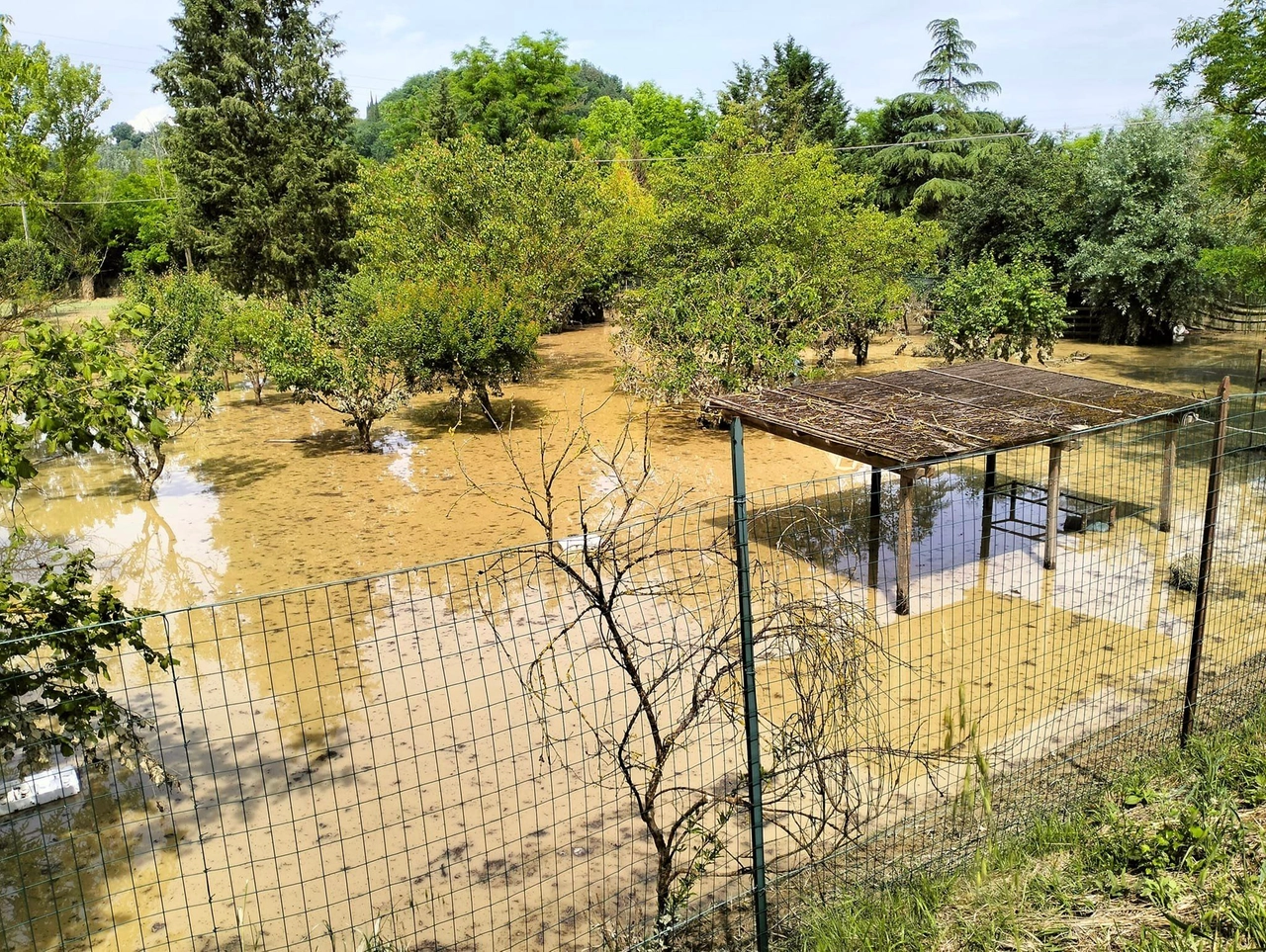 immagine di sfondo 9