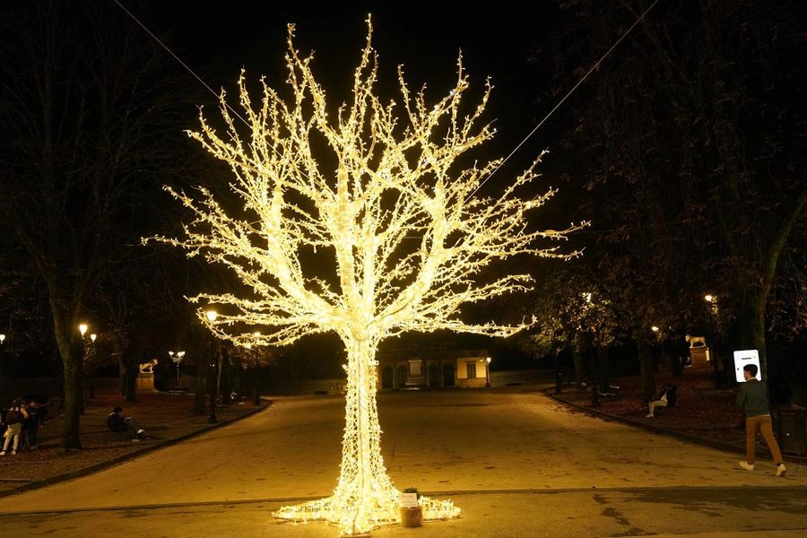 Luci di Natale 