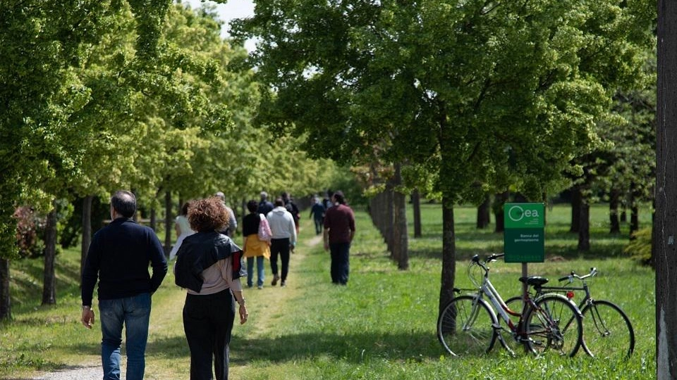 Open day al parco Gea: natura e relax Due giorni dedicati al benessere Open day al parco Gea: natura e relax Due giorni dedicati al benessere