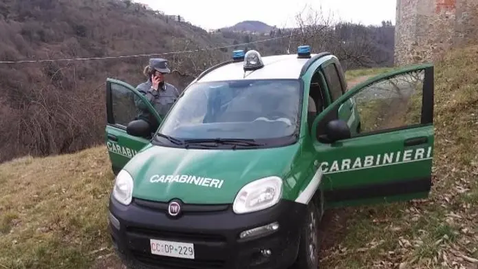Carabinieri forestali