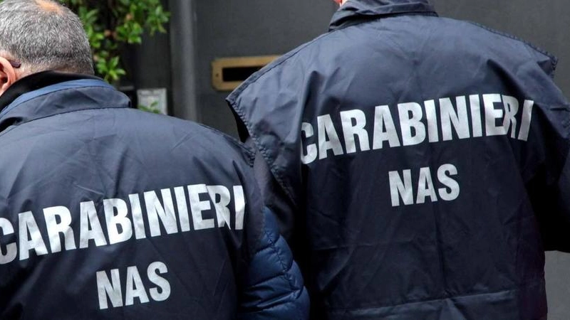I carabinieri del Nas (archivio)