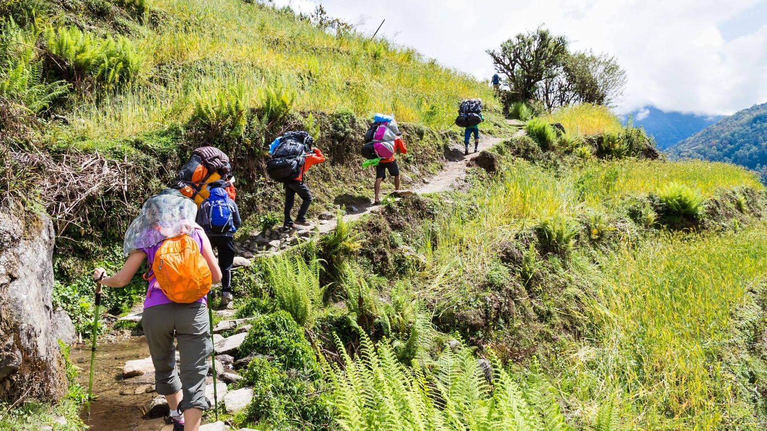 Il percorso unirà trekking e didattica: un cammino facile e adatto a tutti di 7 chilometri