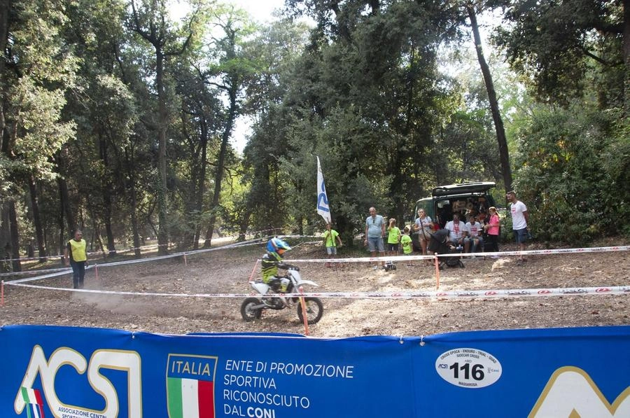 immagine di sfondo 12
