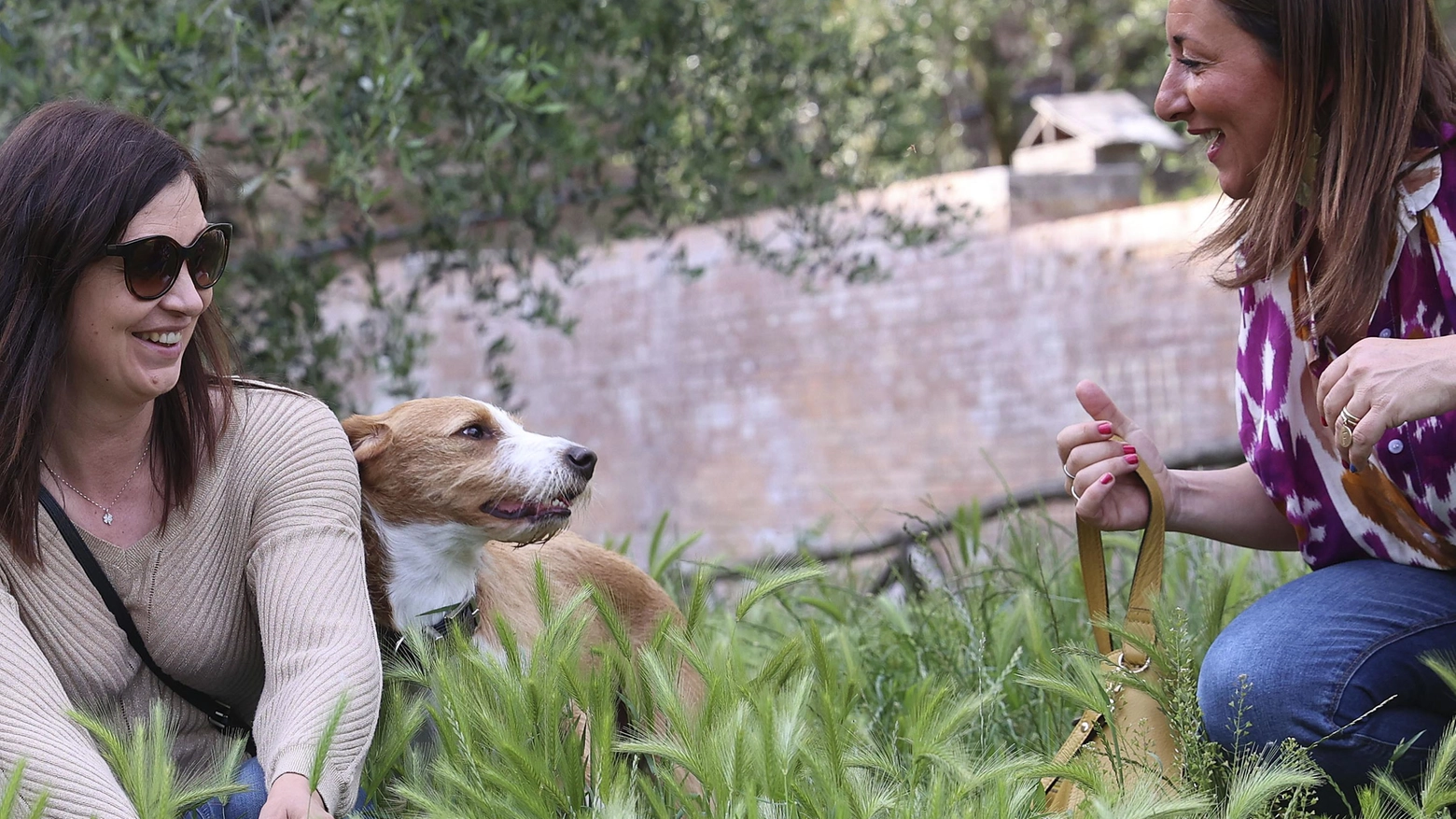"Area cani nel degrado" Rischi agli Orti dei Tolomei "Area cani nel degrado" Rischi agli Orti dei Tolomei