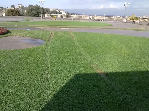 Vandalismi al giglio del piazzale Michelangelo, "Denuncia contro ignoti"