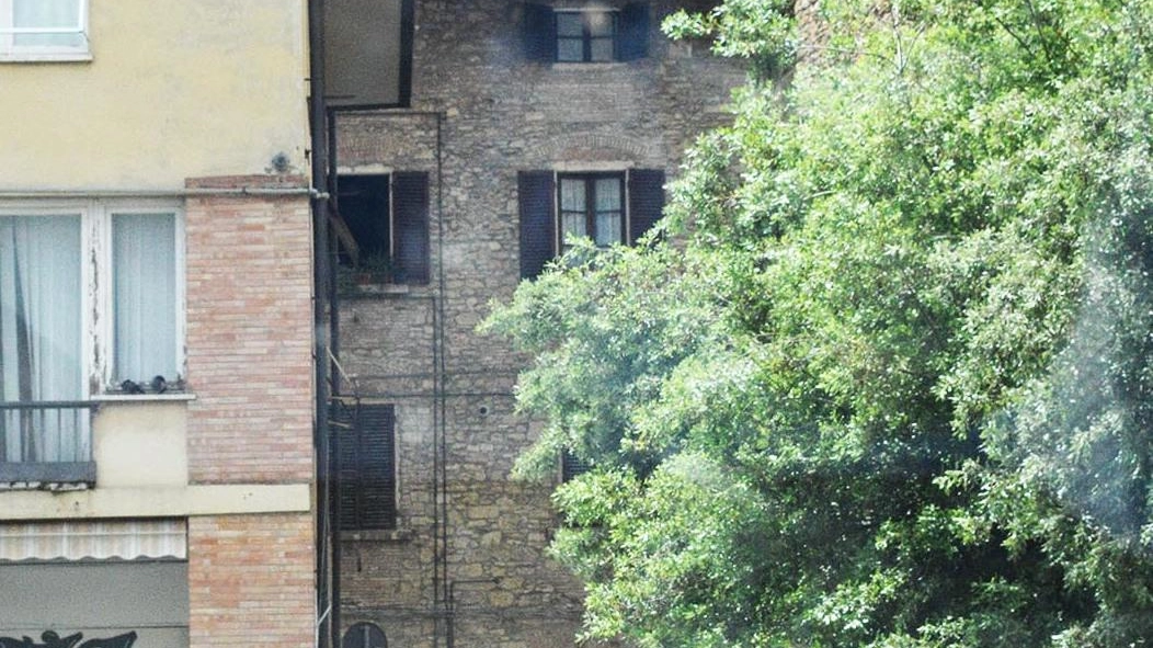 Cade dal secondo piano Grave un bimbo di 5 anni Cade dal secondo piano Grave un bimbo di 5 anni