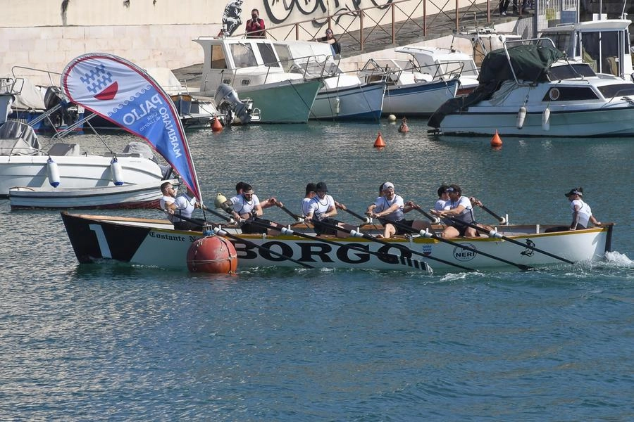 immagine di sfondo 8
