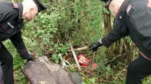 Il bosco della droga sotto pressione, blitz dei carabinieri alle Cerbaie Il bosco della droga sotto pressione, blitz dei carabinieri alle Cerbaie