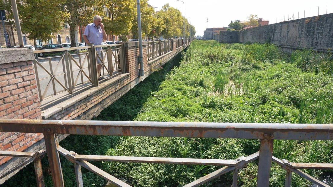 Stop a canne e fanghiglia. Ok della giunta al dragaggio. Oltre 1,5 milioni per il Lagora Stop a canne e fanghiglia. Ok della giunta al dragaggio. Oltre 1,5 milioni per il Lagora