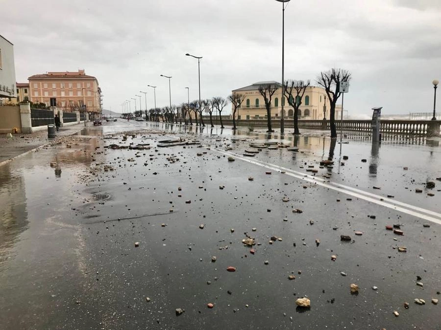 immagine di sfondo 10