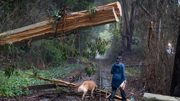 California: ciclone e tempeste record, almeno 18 morti. Le previsioni