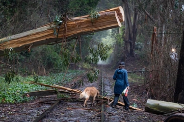 California: ciclone e tempeste record, almeno 18 morti. Le previsioni