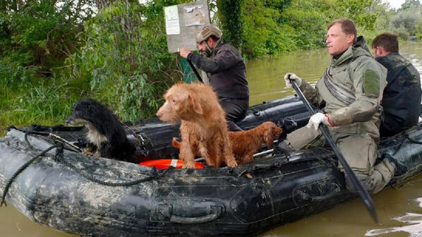 Sono tantissimi i salvataggi di animali che sono stati fatti in Emilia Romagna Sono tantissimi i salvataggi di animali che sono stati fatti in Emilia Romagna