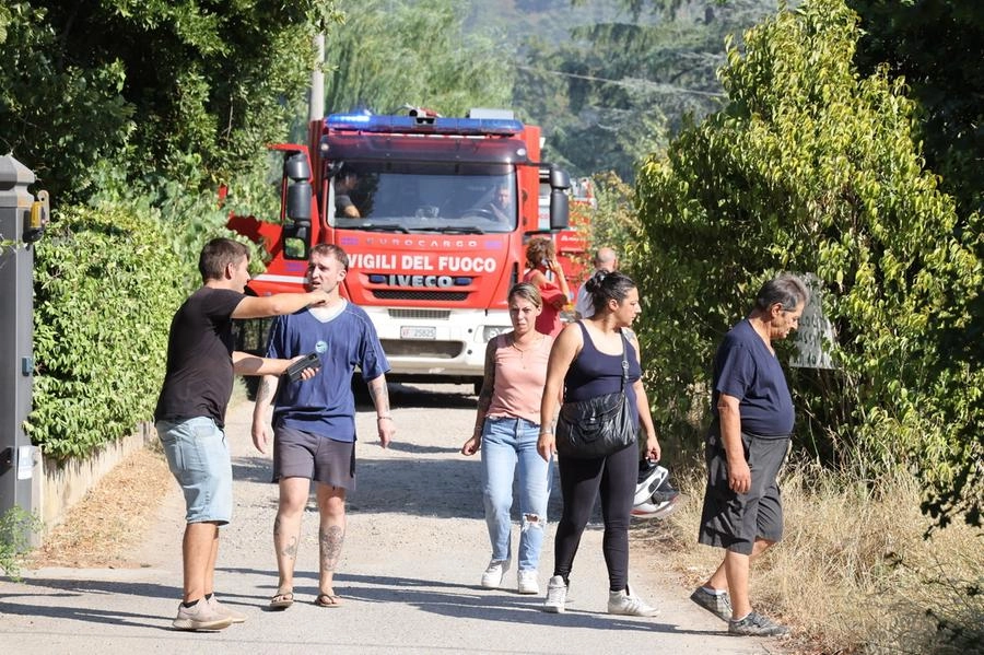 immagine di sfondo 19