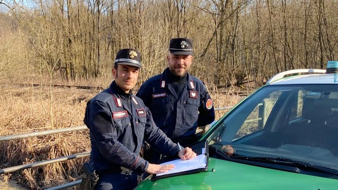 L’attività d’indagine è stata curata dai carabinieri forestali 