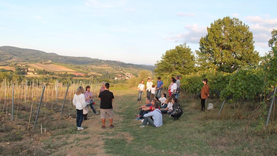 L'agricampeggio Cipollatico in uno degli scorsi eventi